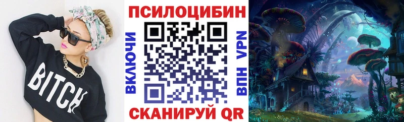 Псилоцибиновые грибы MAGIC MUSHROOMS  как найти закладки  Плёс 
